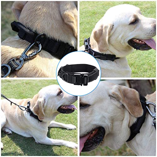 Qpets® Dogs Collar for Large Adjustable Nylon Tactical Belt with Strap Handle Training Quick Release Metal Buckle Medium Adult 43-52Cm Black 2PCS Qpets® Dogs Collar for Large Adjustable Nylon Tactical Belt with Strap Handle Training Quick Release Metal Buckle Medium Adult 43-52Cm Black 2PCS
